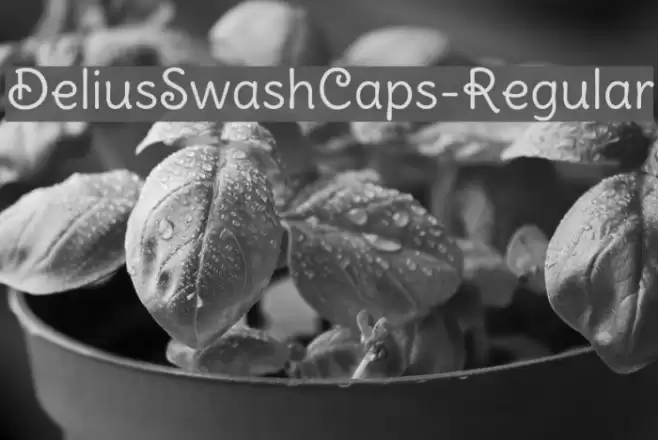 DeliusSwashCaps-Regular Font examples