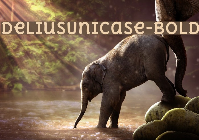 DeliusUnicase-Bold Font examples
