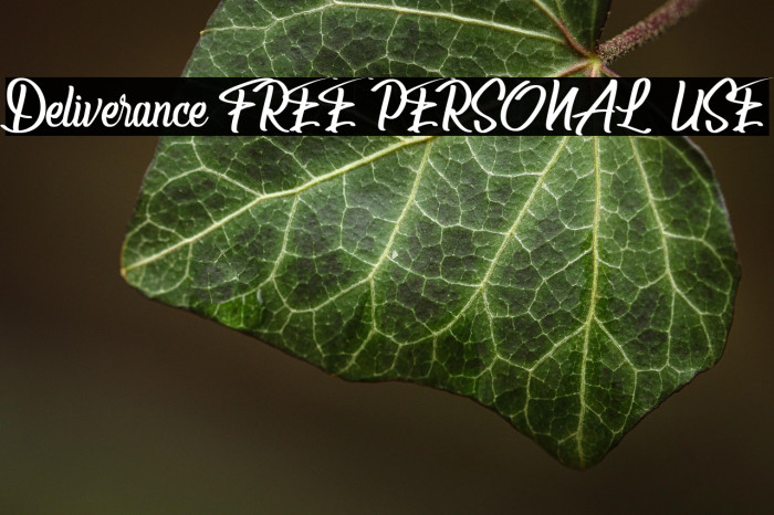 Deliverance [FREE PERSONAL USE] Example 3