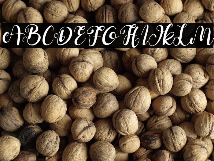 Della Berlyn Italic Example 2