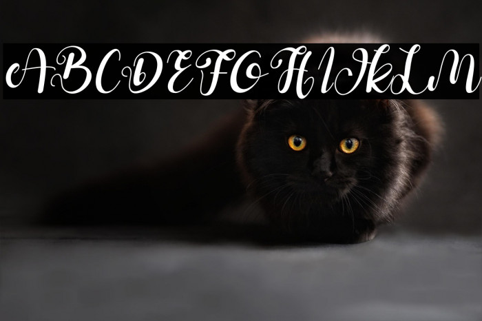 Della Berlyn Italic Example 3