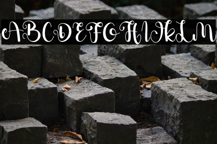 Della Berlyn Example 1