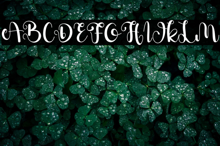 Della Berlyn Example 3