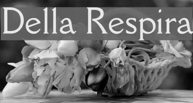 Della Respira Font examples