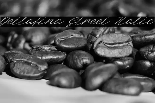 Dellafina Street Italic Font examples