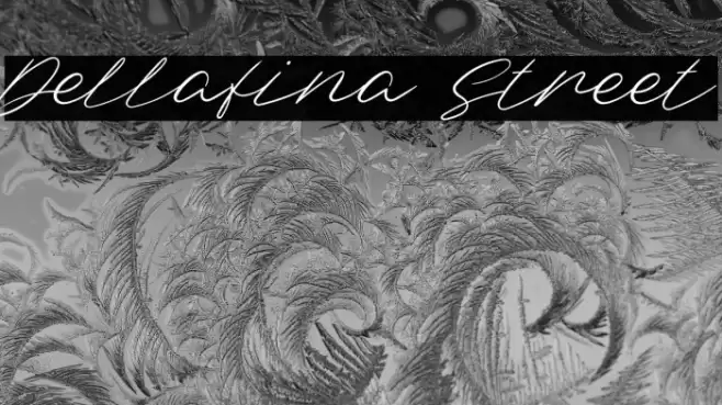 Dellafina Street Polices examples