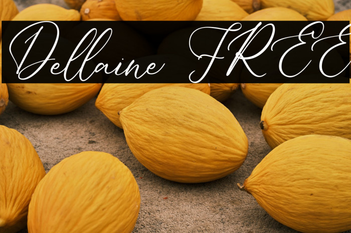 Dellaine FREE Example 1