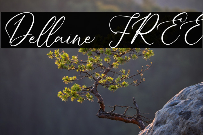 Dellaine FREE Example 2