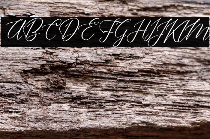 DellaineFREE Example 3