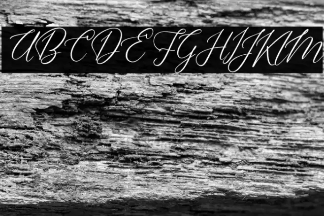 DellaineFREE Font examples