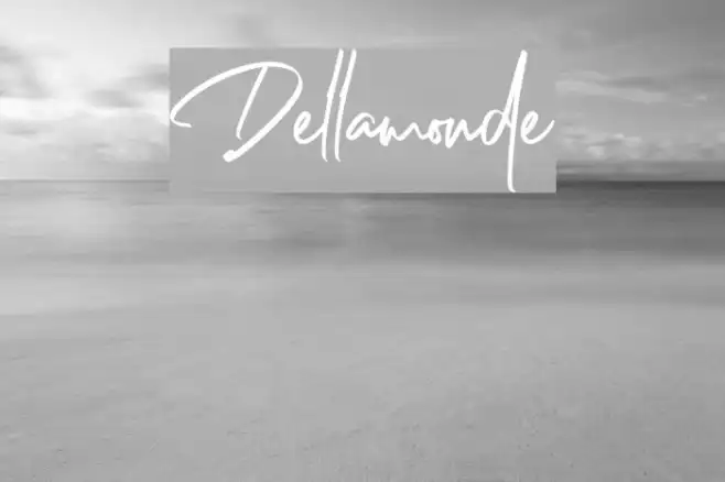 Dellamonde Example 1