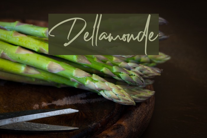 Dellamonde Font examples