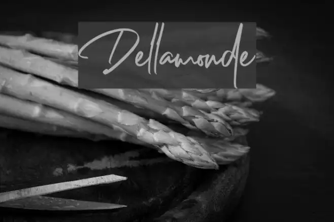 Dellamonde Example 2