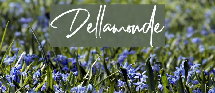 Dellamonde Font examples