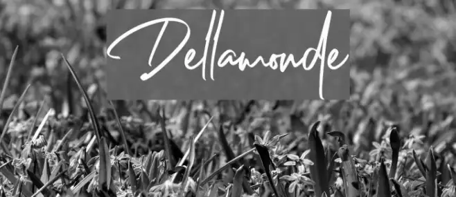 Dellamonde Example 3