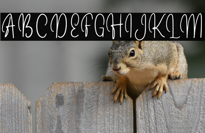 DellatynaRegular Example 2