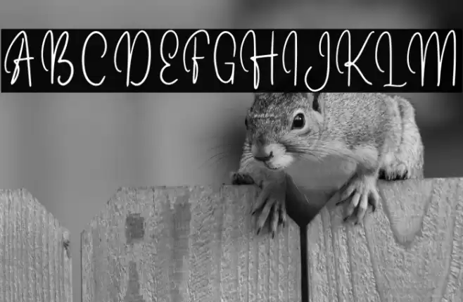 DellatynaRegular Font examples