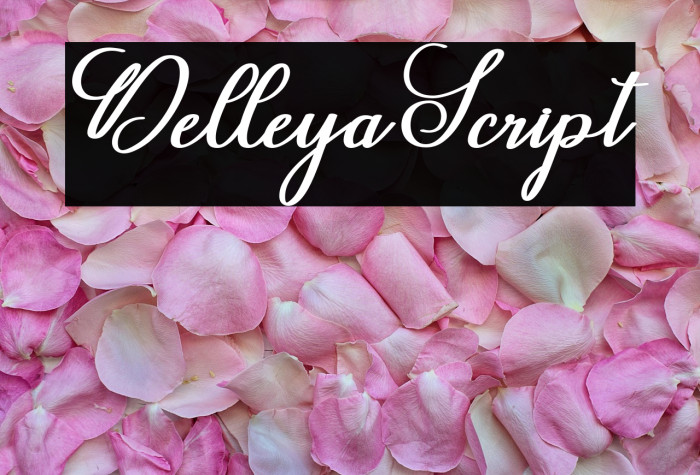 DelleyaScript Example 1