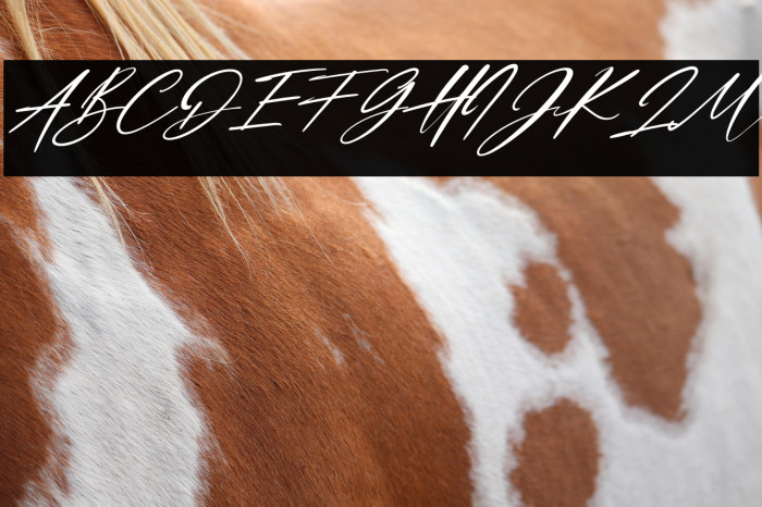 Dellicious Italic Example 2