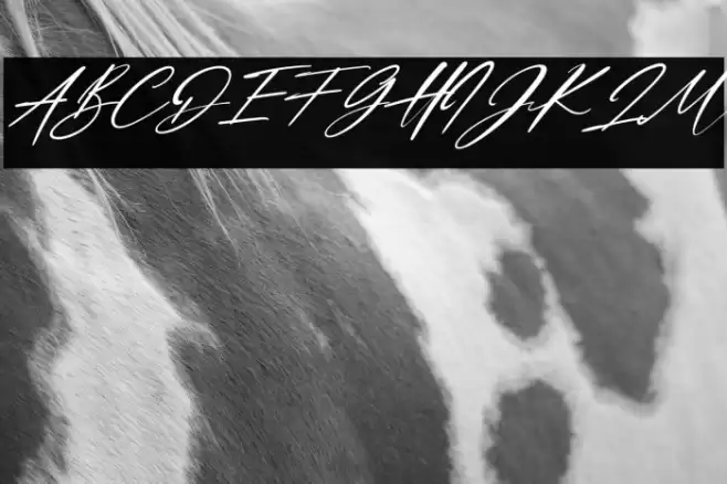 Dellicious Italic Font examples