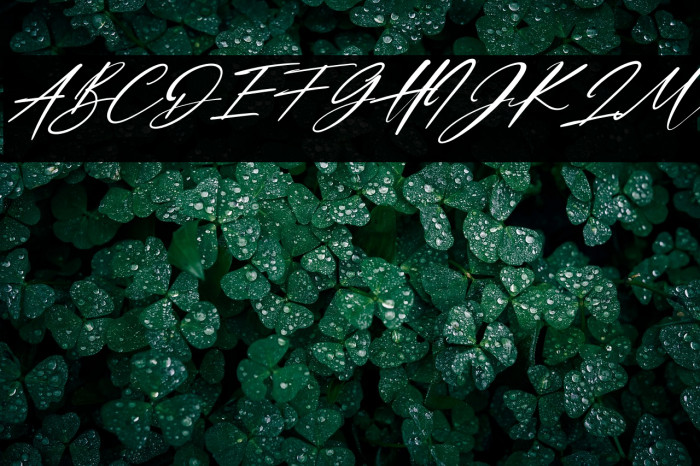 Dellicious Italic Example 3