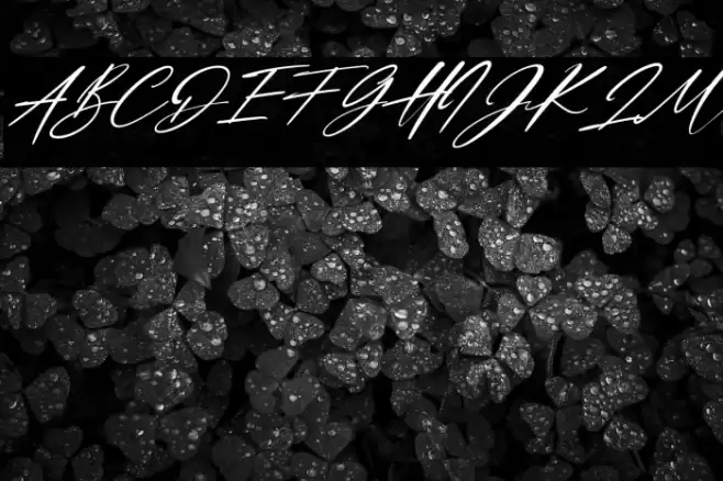 Dellicious Italic Font examples