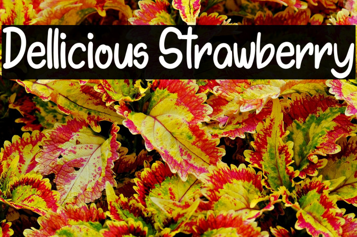 Dellicious Strawberry Example 2