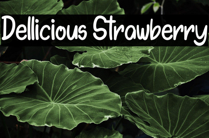 Dellicious Strawberry Example 3