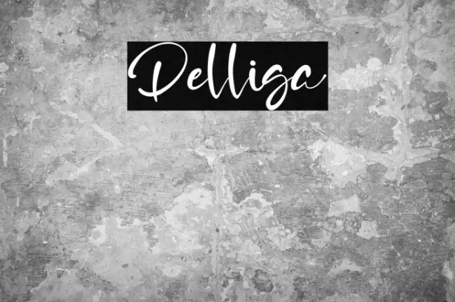 Delliga Example 1