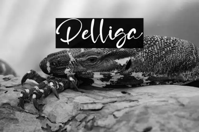 Delliga Example 2