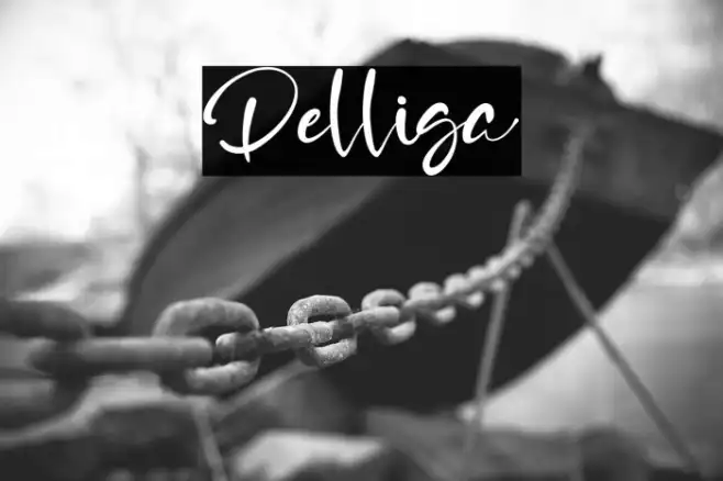 Delliga Example 3