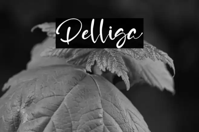 Delliga Font examples
