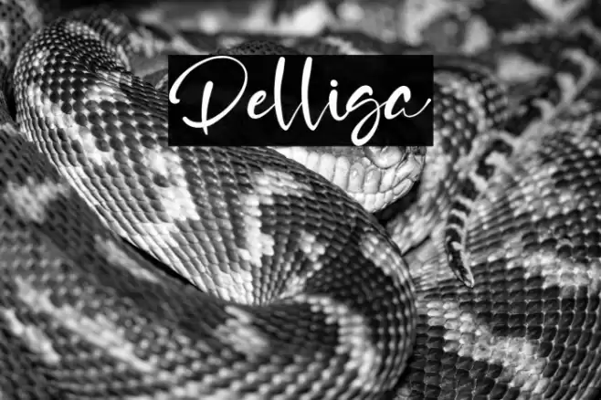Delliga Font examples