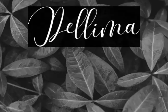 Dellima Example 1