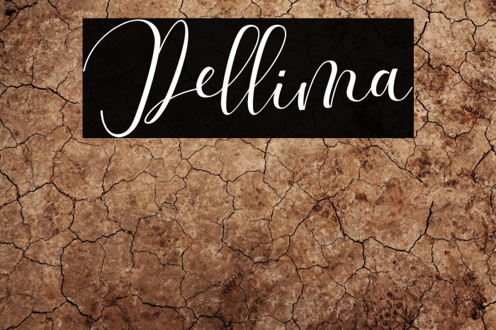 Dellima Example 3