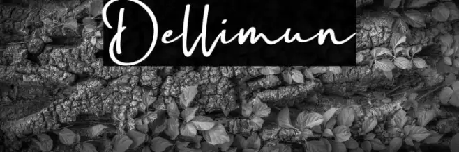 Dellimun Example 1