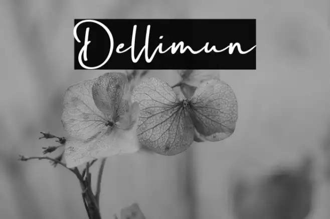 Dellimun Example 2