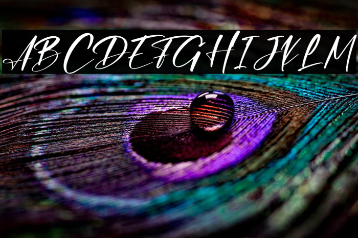 Dellisa Roslytta Example 1