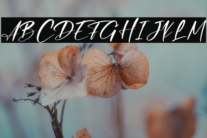 Dellisa Roslytta Example 3