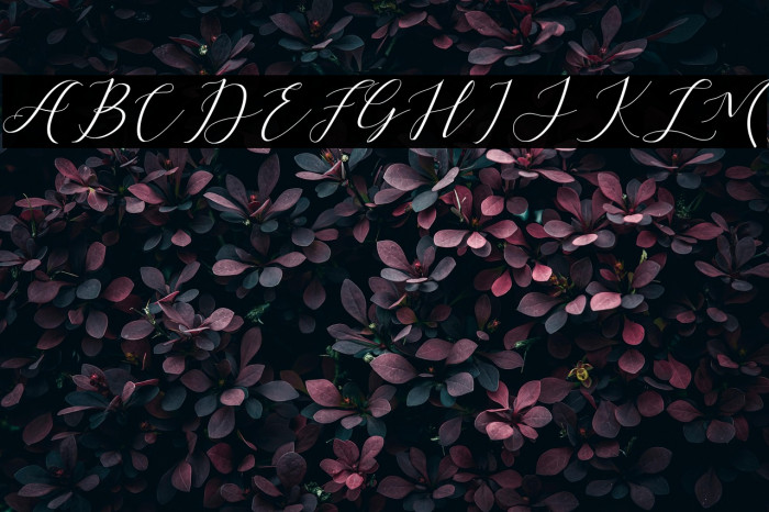 Dellisya Free For Personal Use Example 1