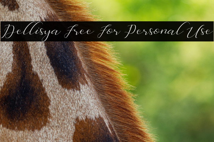 Dellisya Free For Personal Use Example 2