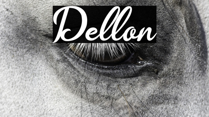 Dellon Example 3
