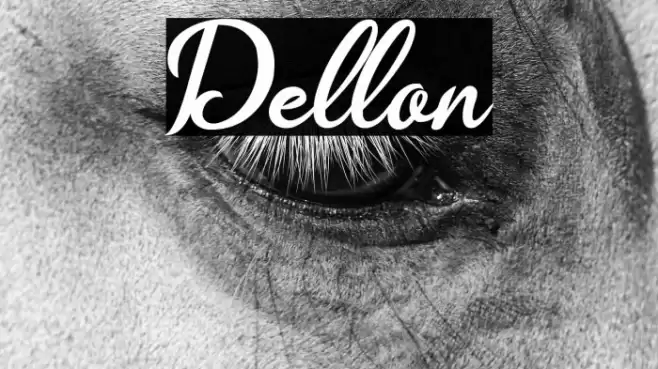 Dellon Font examples