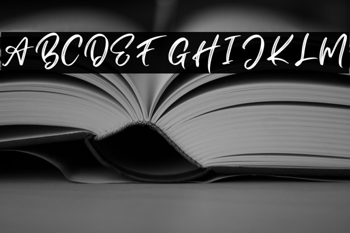 Dellons Signature Personal Use Example 3