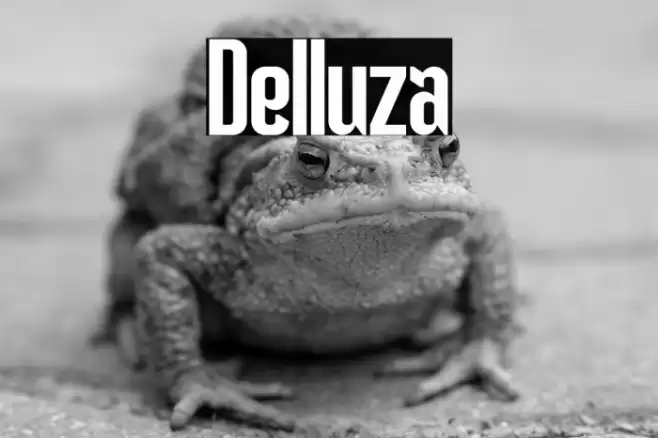 Delluza Font examples