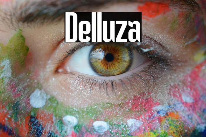 Delluza Example 2