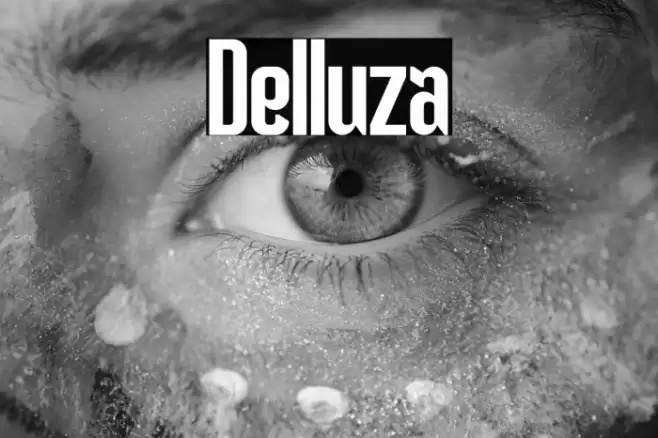 Delluza Font examples