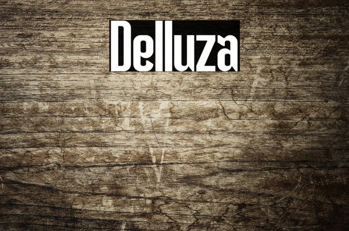 Delluza Example 3