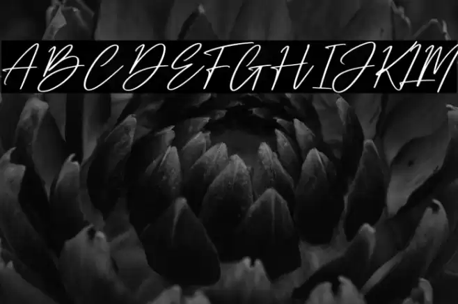 Dellyani Font examples