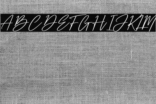 Dellyani Font examples